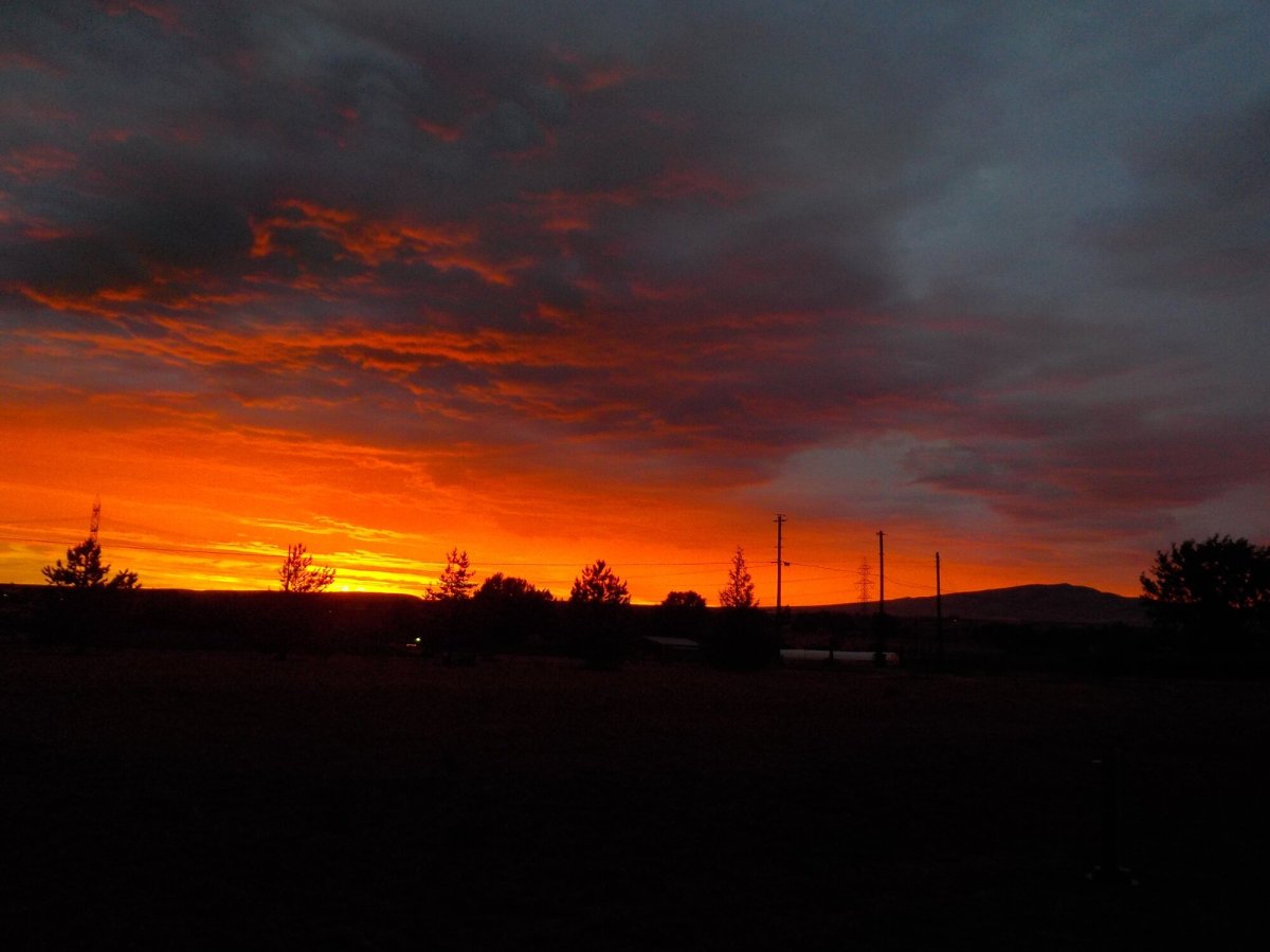 DSCN7198.JPG