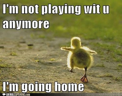 duck 4.jpg