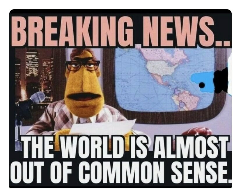 ed161f400c404ad3.jpeg