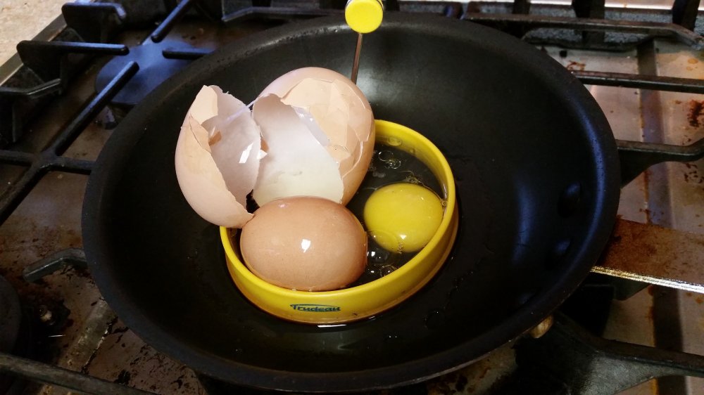 egg1.jpg