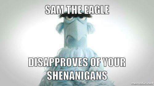 FB_IMG_1494635773115.jpg
