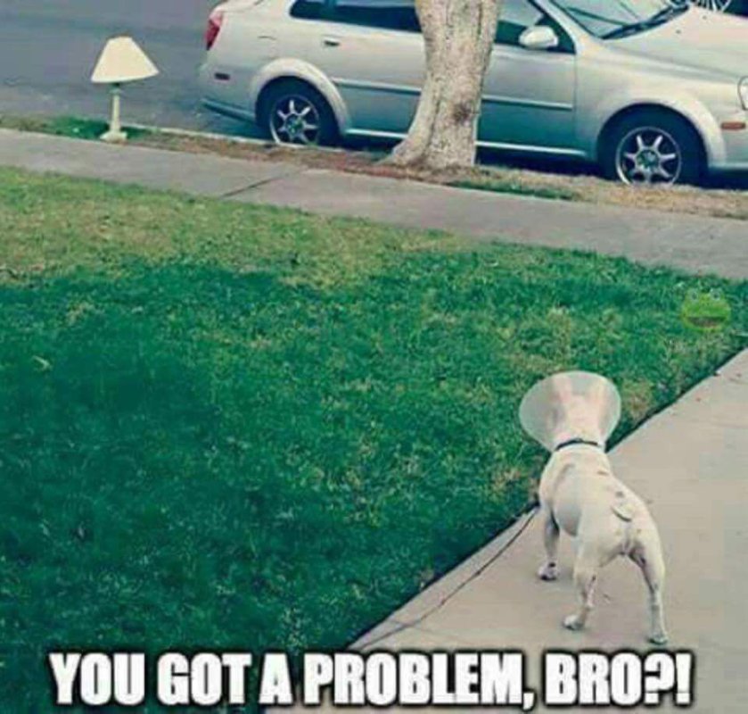 FB_IMG_1495230807152.jpg