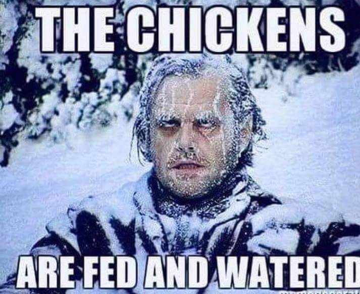 FB_IMG_1515100459011.jpg
