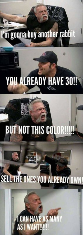 FB_IMG_1533752227299.jpg