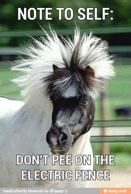 FB_IMG_1534123507462.jpg