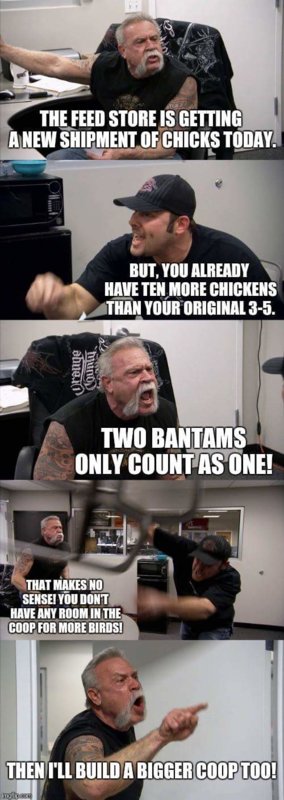 FB_IMG_1538489491933.jpg