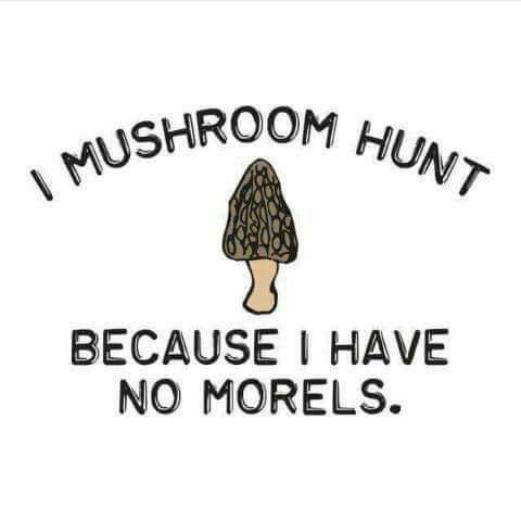 FB_IMG_1554901871210.jpg