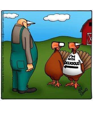 FB_IMG_1560430477545.jpg