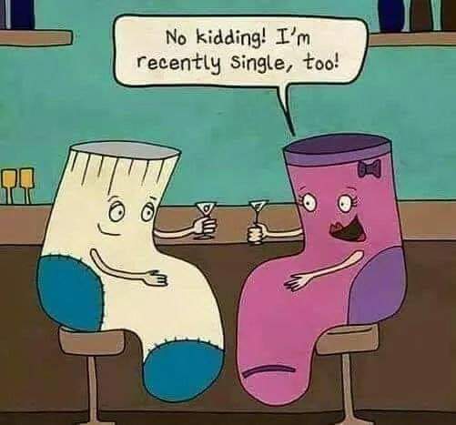 FB_IMG_1572032268596.jpg