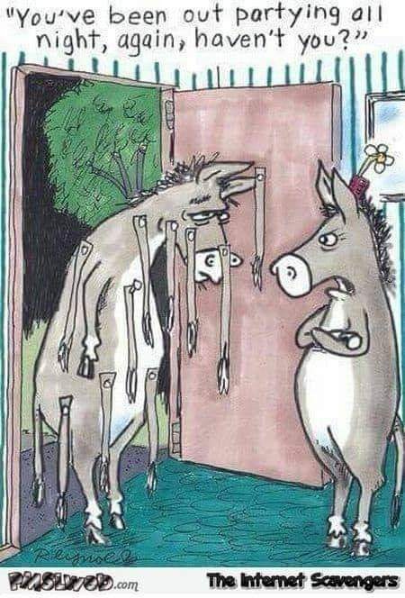 FB_IMG_1572044380962.jpg