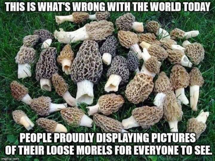 FB_IMG_1581529008113.jpg
