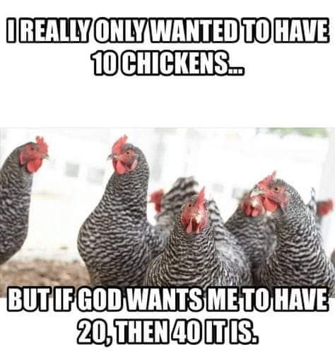 FB_IMG_1585530959910.jpg