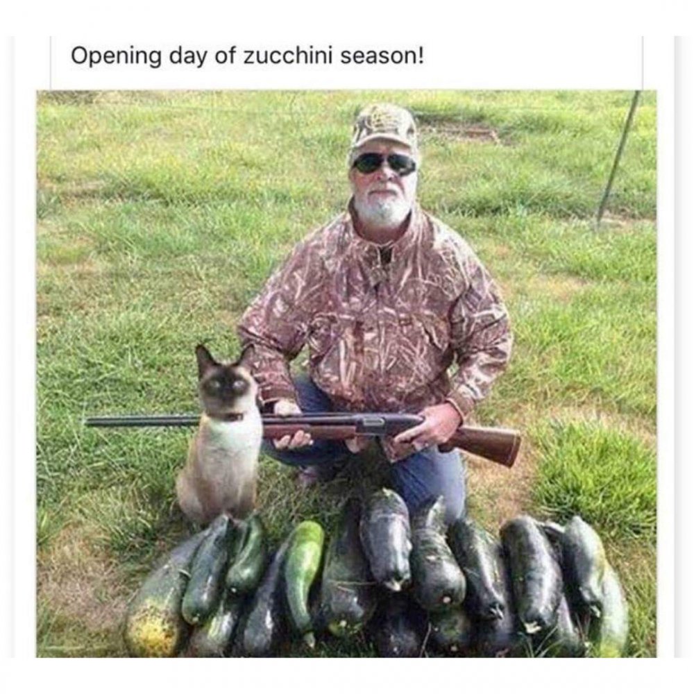 FB_IMG_1593461875234.jpg