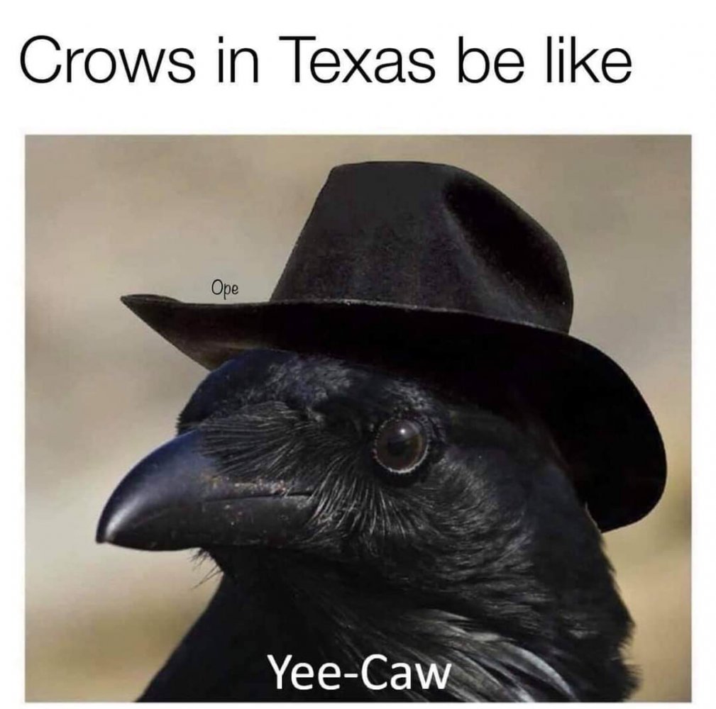 FB_IMG_1596646250003.jpg