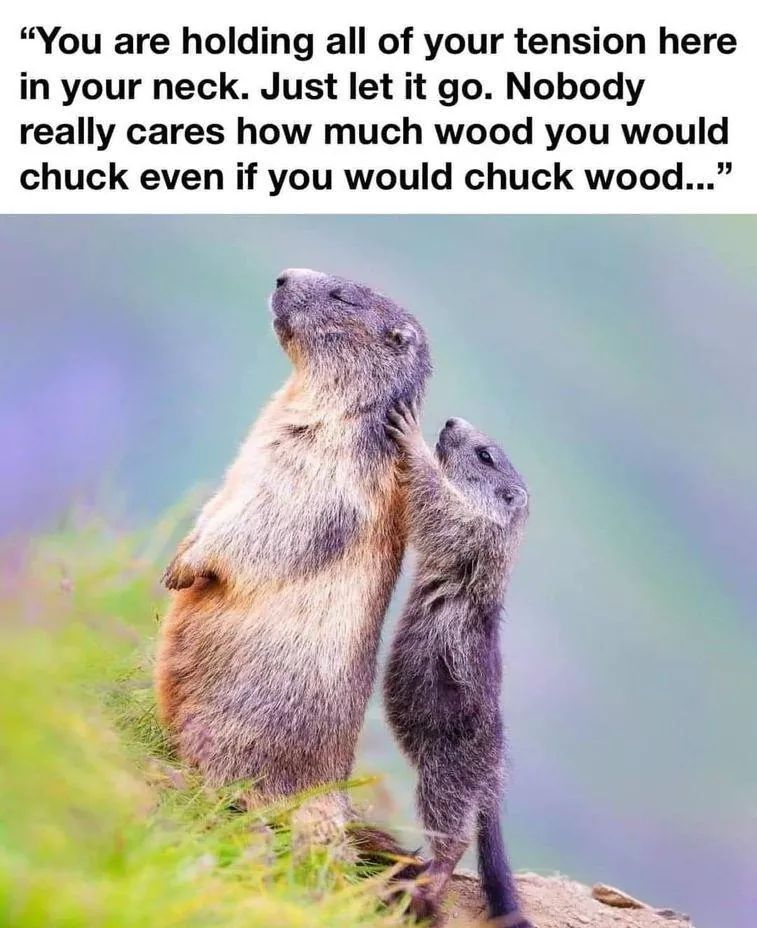 FB_IMG_1606530807493.jpg