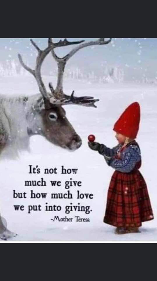 FB_IMG_1608092617456.jpg