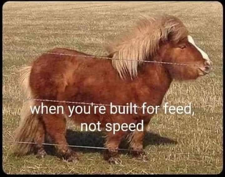 FB_IMG_1610038531815.jpg