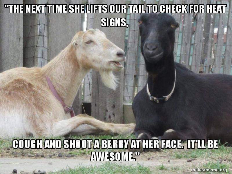 FB_IMG_1669391385633.jpg
