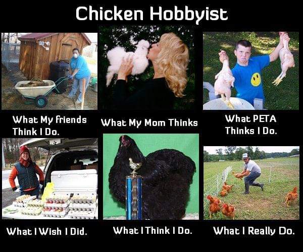 FB_IMG_1671366439223.jpg