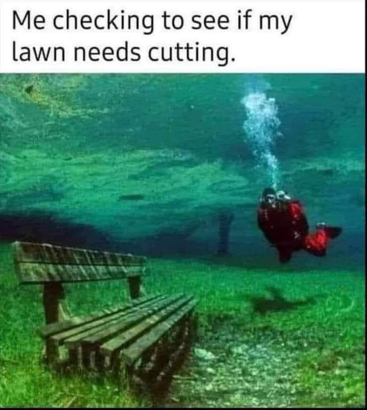 FB_IMG_1713009012343.jpg