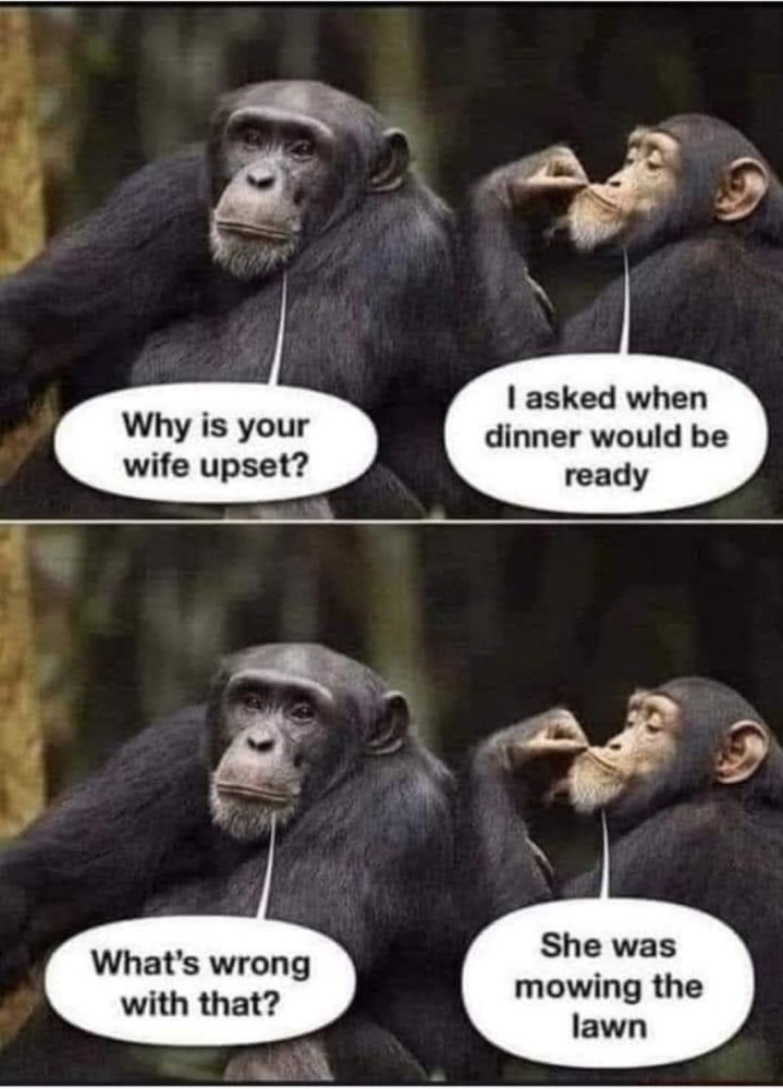 FB_IMG_1744970657443.jpg
