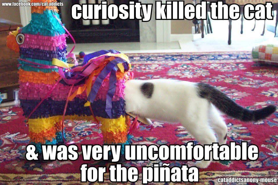 FB_IMG_1746470284978.jpg