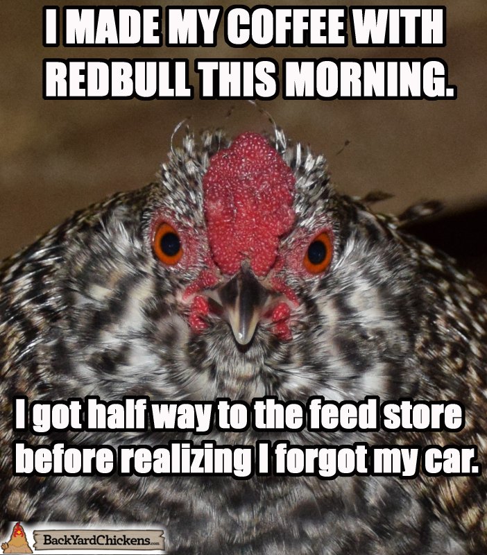 fef45d80_redbullcopyfinished.jpg