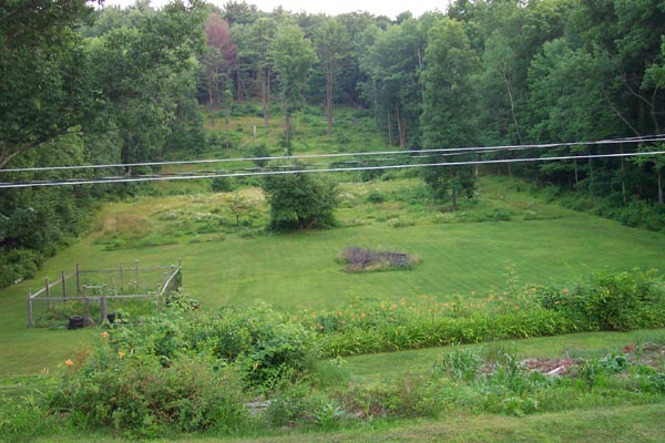 field.jpg