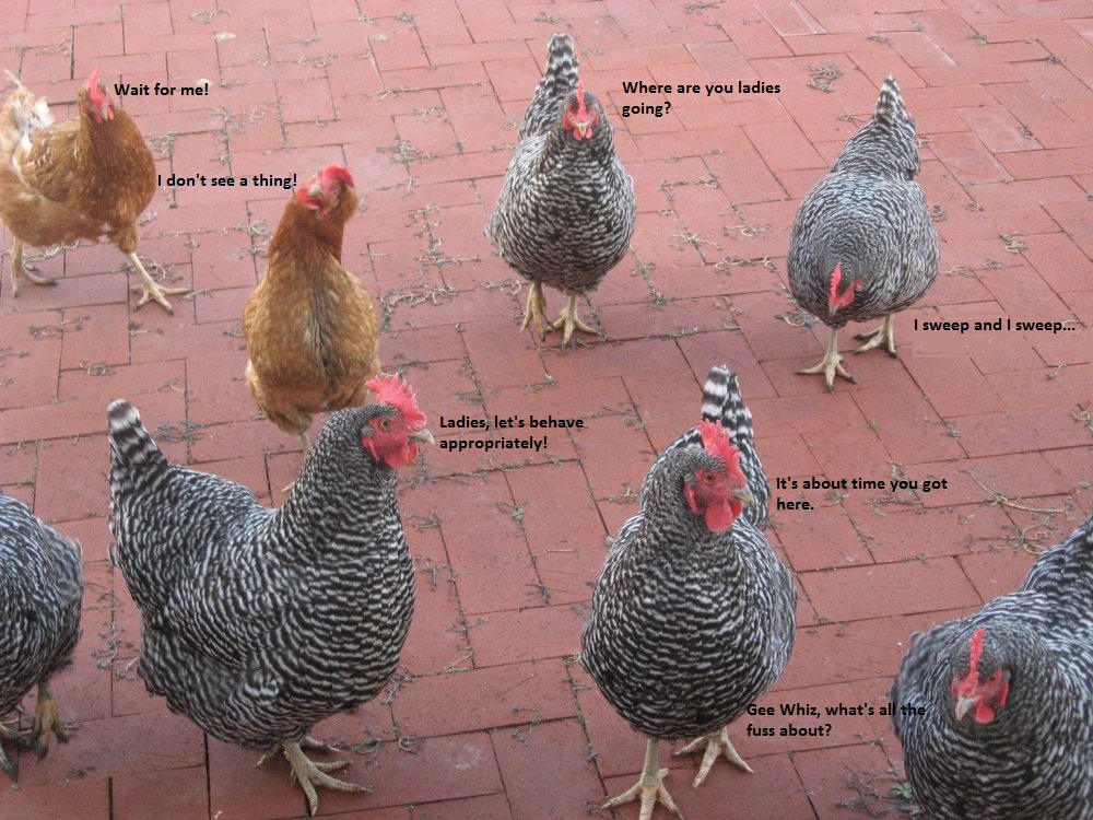 Fluffy Butts 2.jpg