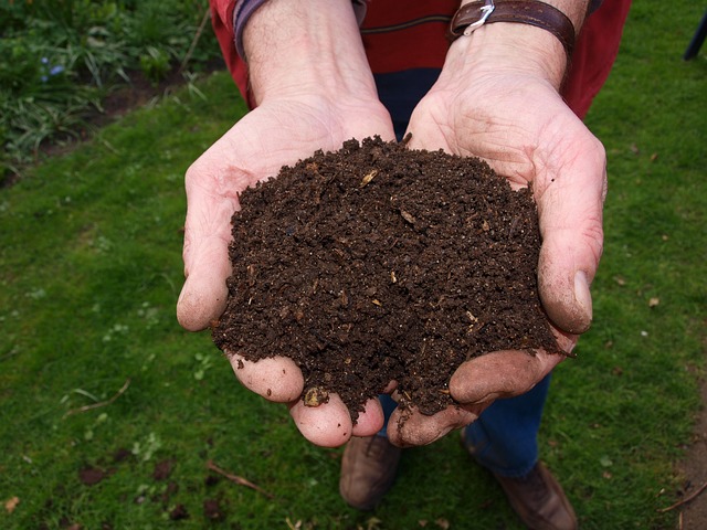 Composting on the Homestead