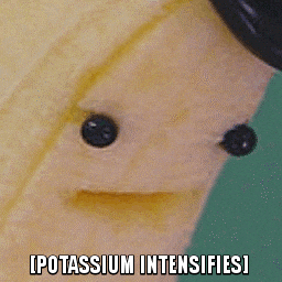 giphy (2).gif