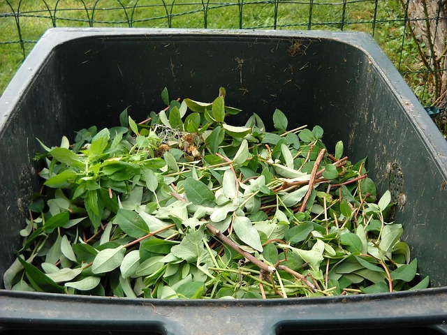 Composting on the Homestead