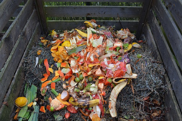 Composting on the Homestead