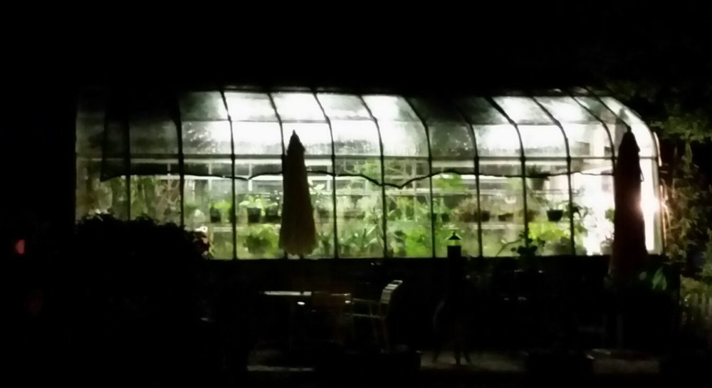 greenhouse4.jpg