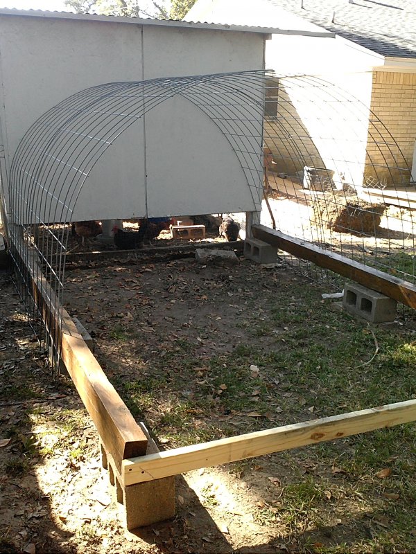 hoopy coop start.jpg