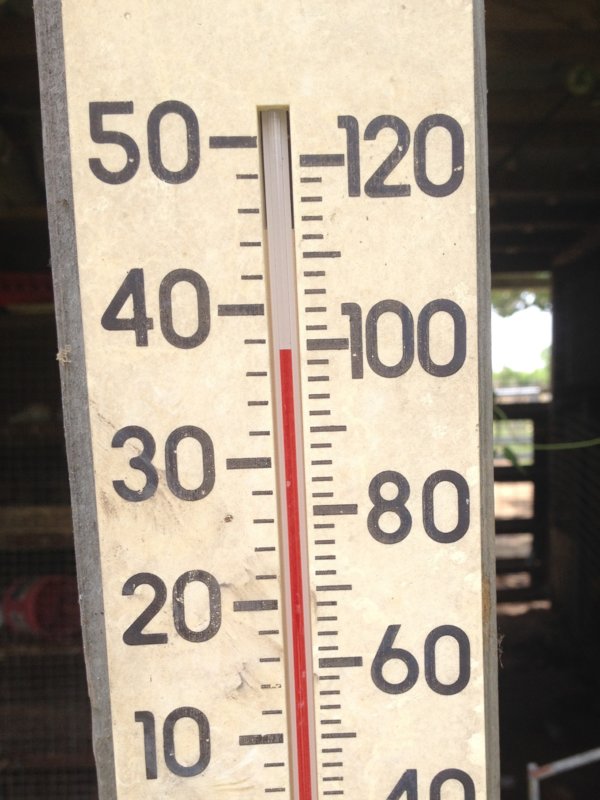 HOT 002.JPG