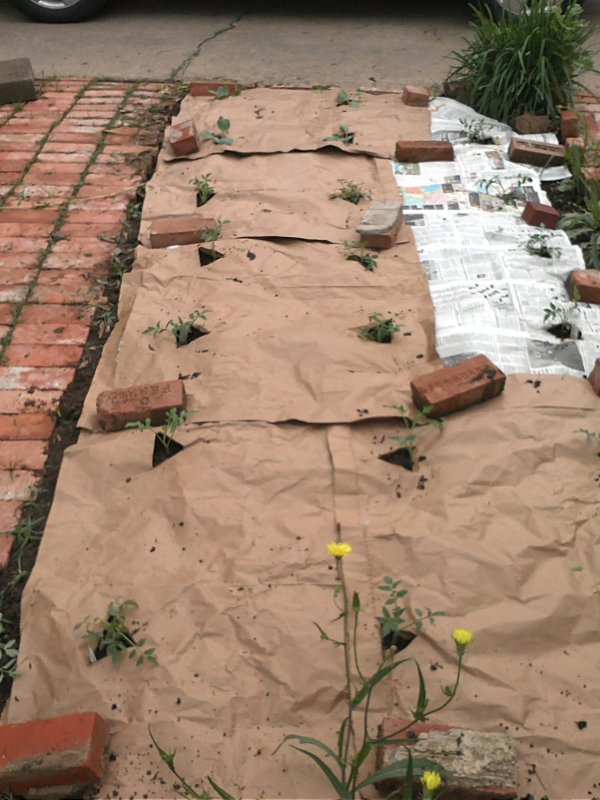 IMG127.jpg