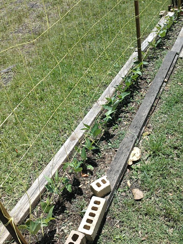 IMG150.jpg