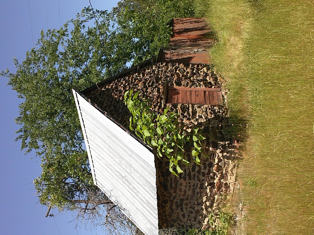 IMG1650.jpg