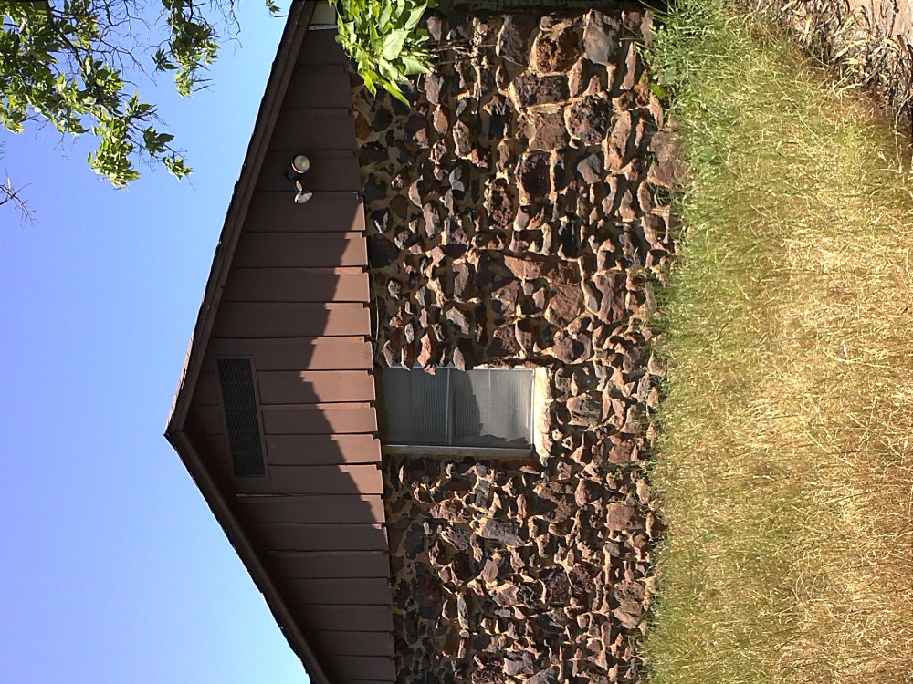 IMG1655.jpg