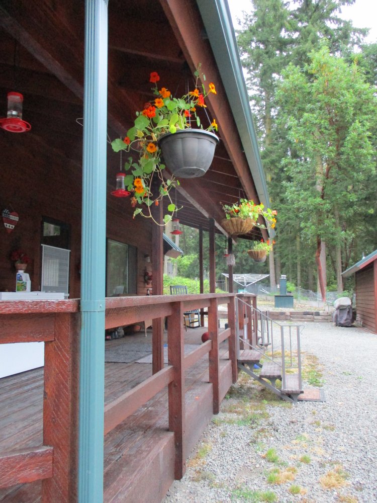 IMG_0015.JPG