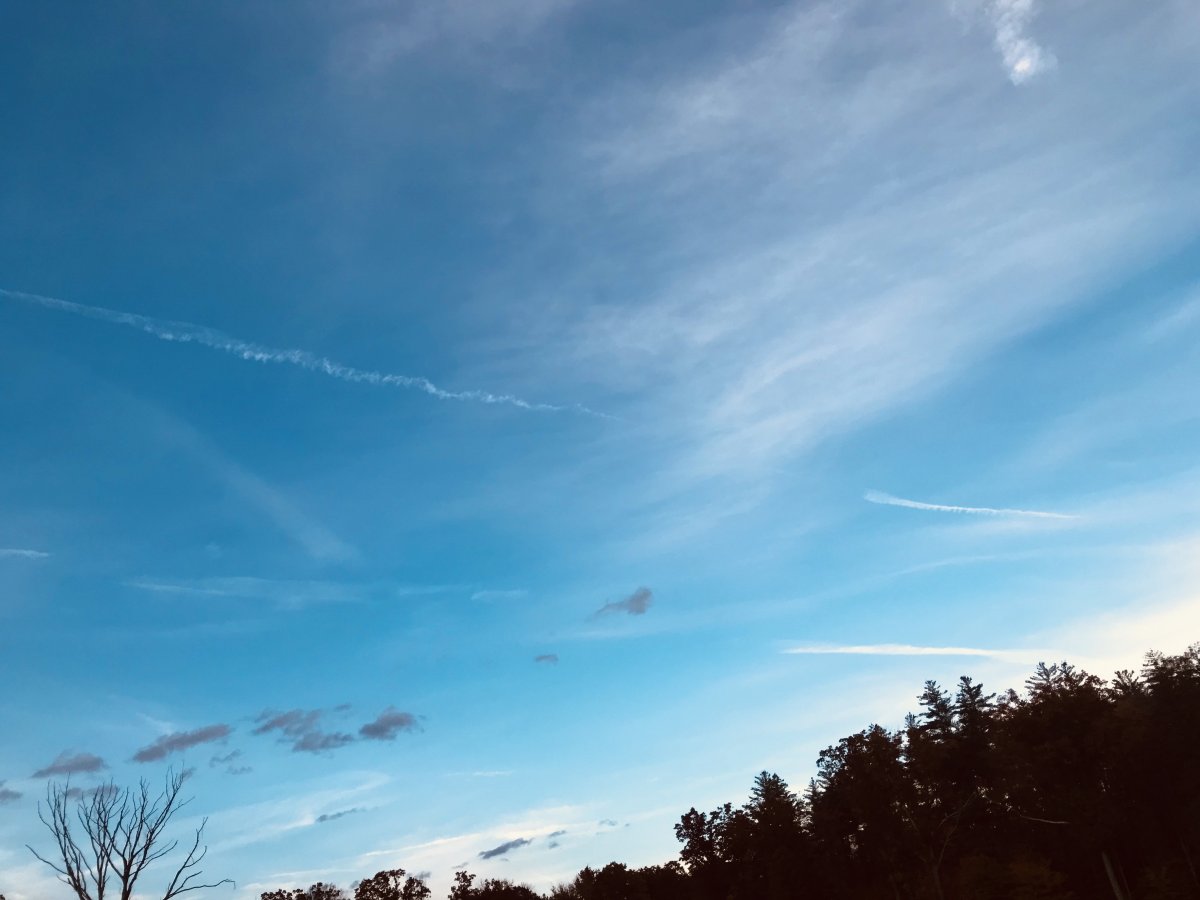 IMG_0568.jpeg