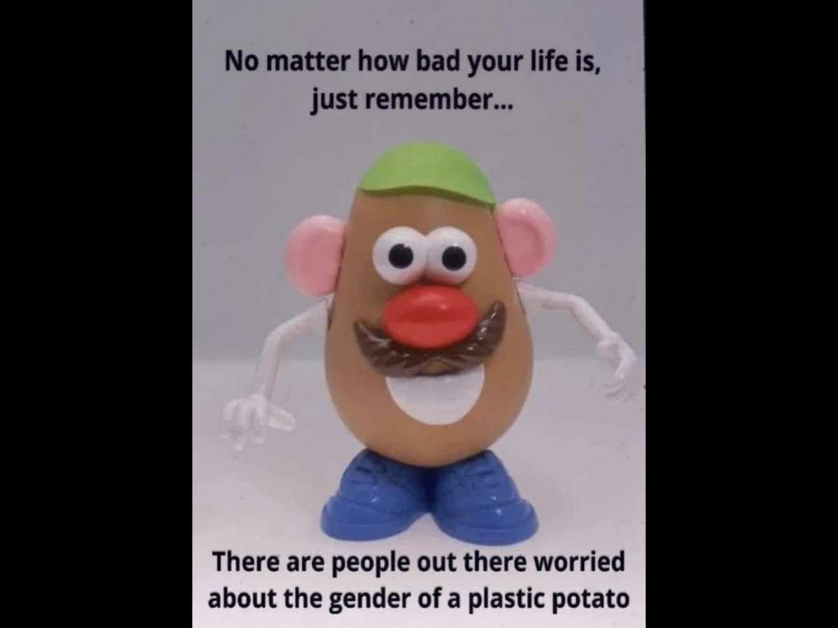 IMG_1336.PNG