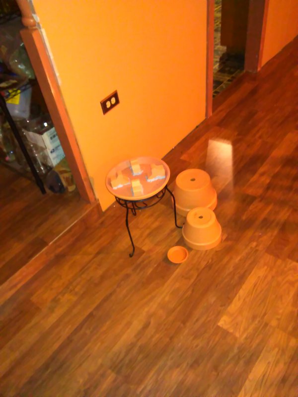 IMG_20151221_132302.jpg