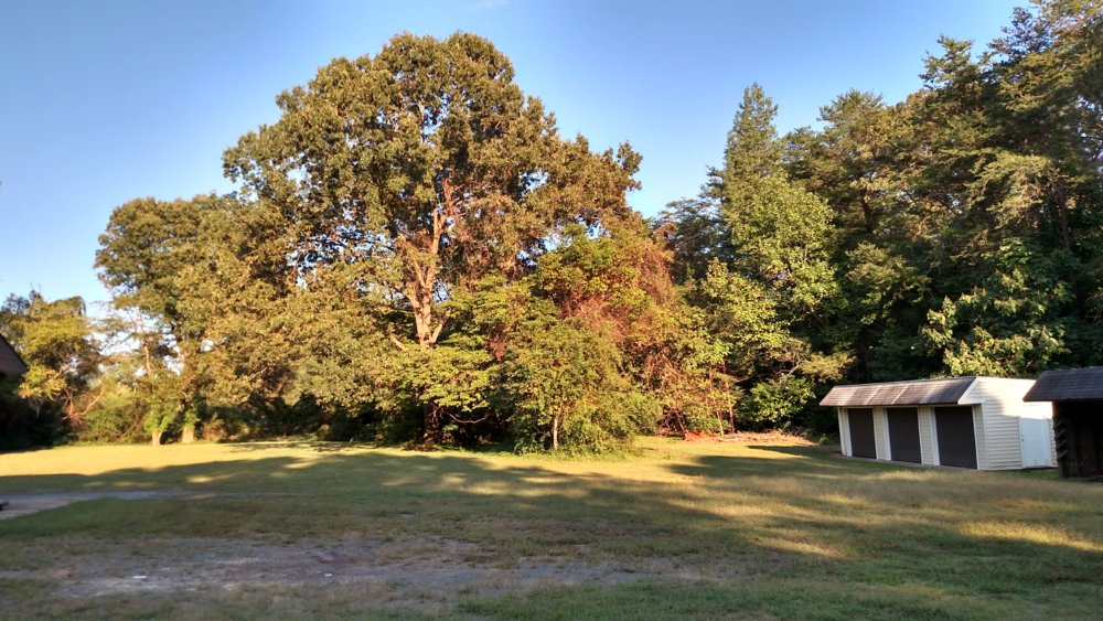 IMG_20161003_170609100_HDR.jpg