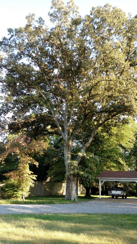 IMG_20161003_170956110.jpg
