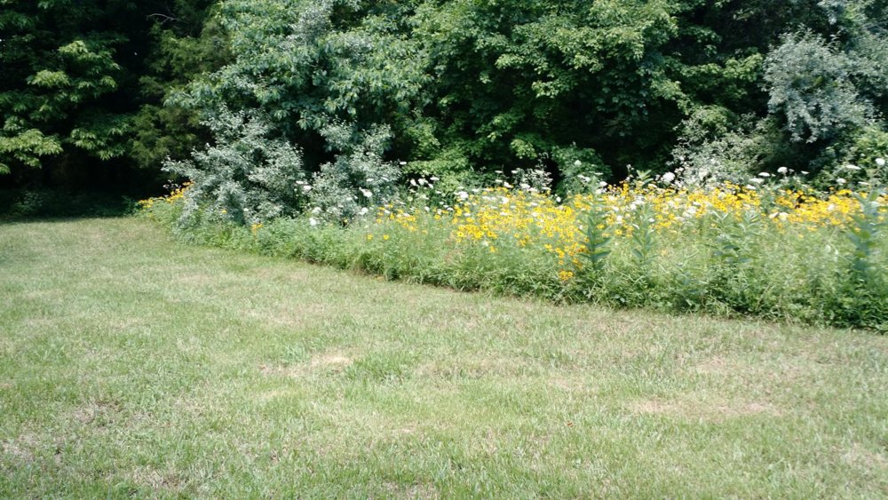 IMG_20170619_135845804.jpg