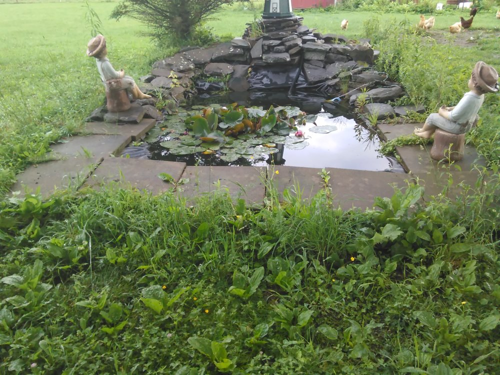 IMG_20170624_075015.jpg