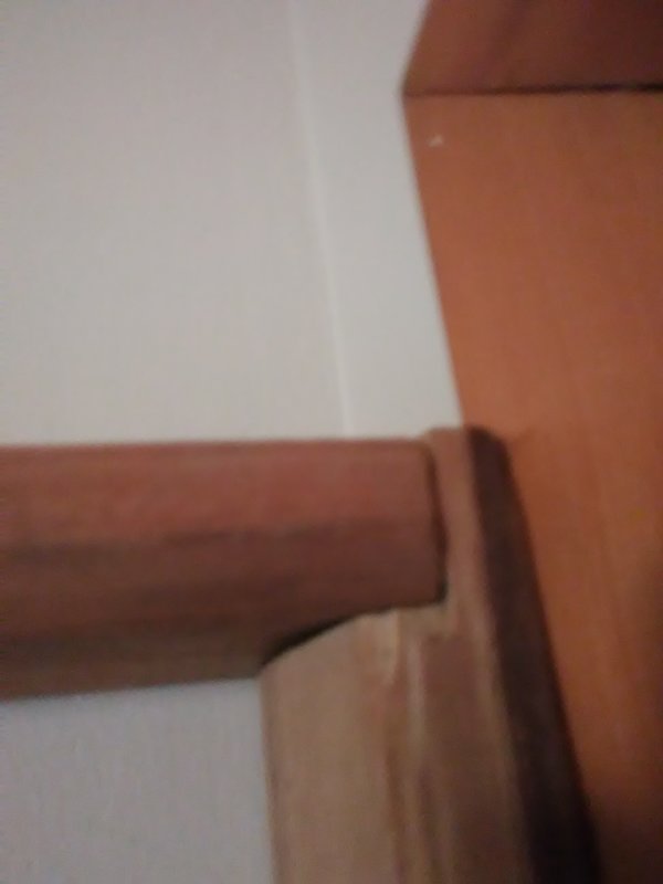 IMG_20170918_070158.jpg