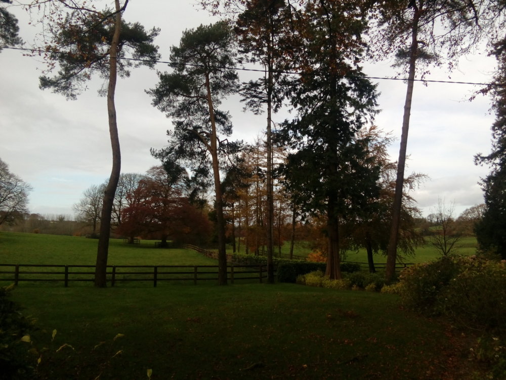 IMG_20171104_120537.jpg